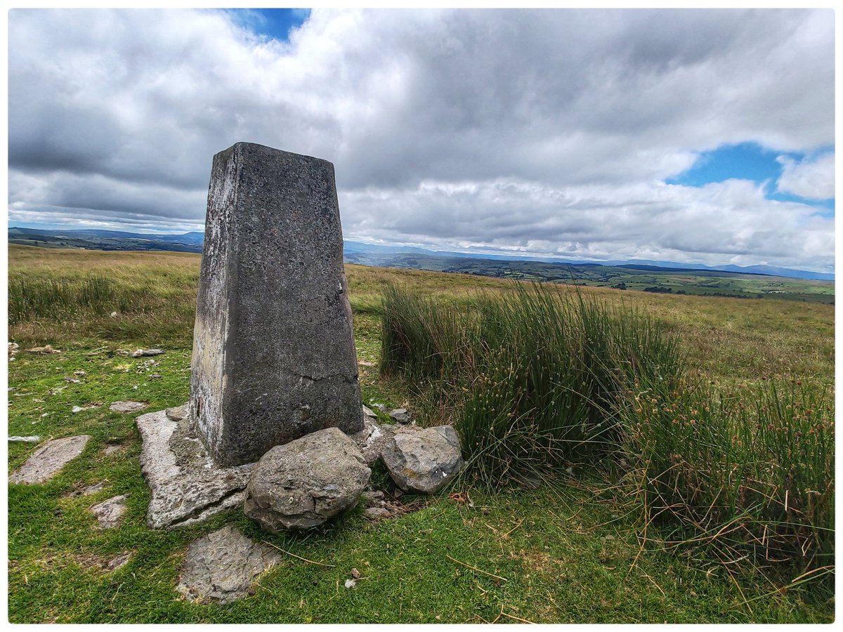 smoggiewalks's tweet image. Banc y Celyn trigpoint #bordercollie #prescriptionnature #trigpointchallenge #trigpoint @OrdnanceSurvey @DerekTheWeather