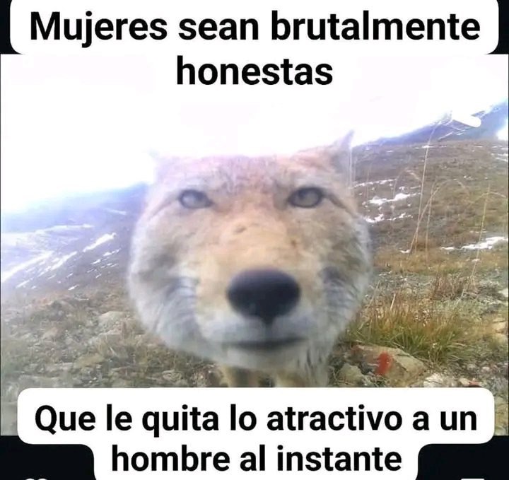 DROSS (@eldiariodedross) on Twitter photo 