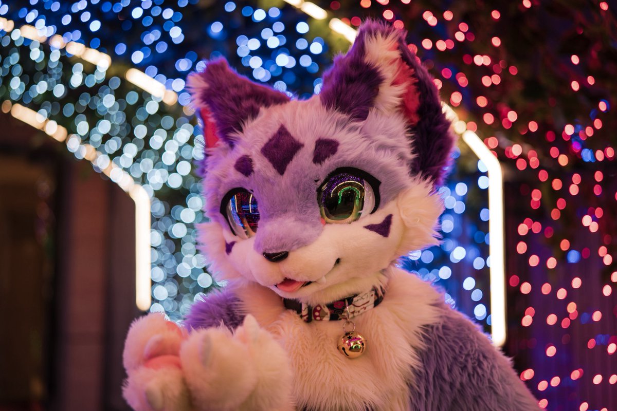 这里忘记发毛五了✋😭🤚

📷：绝世美图来自<a href="/woowooyun/">浮空乌云☁️</a> 大人