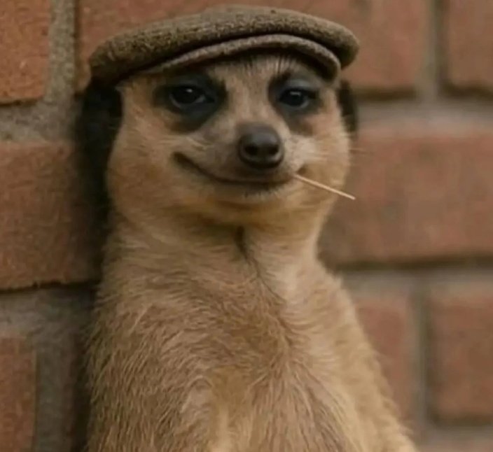 ወጣቱ እንደ ነገ ሰላማዊ ሰልፍ ለመውጣት ሲዘጋጅ.. 

ሬሳ ሳጥን ሻጮች