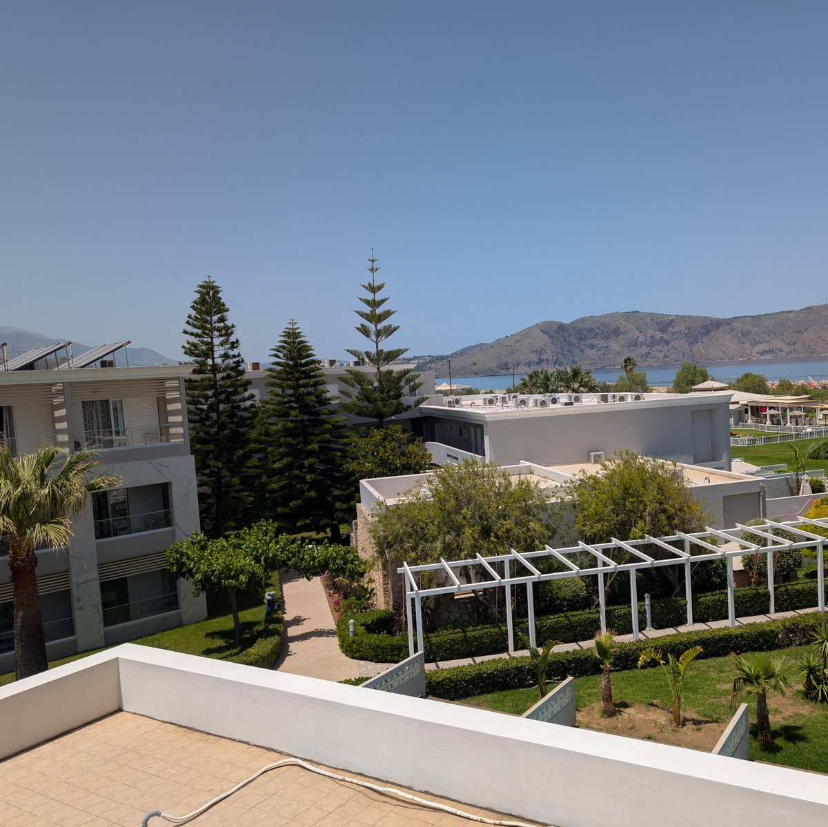 Talabaa's tweet image. #NeuesProfilfoto