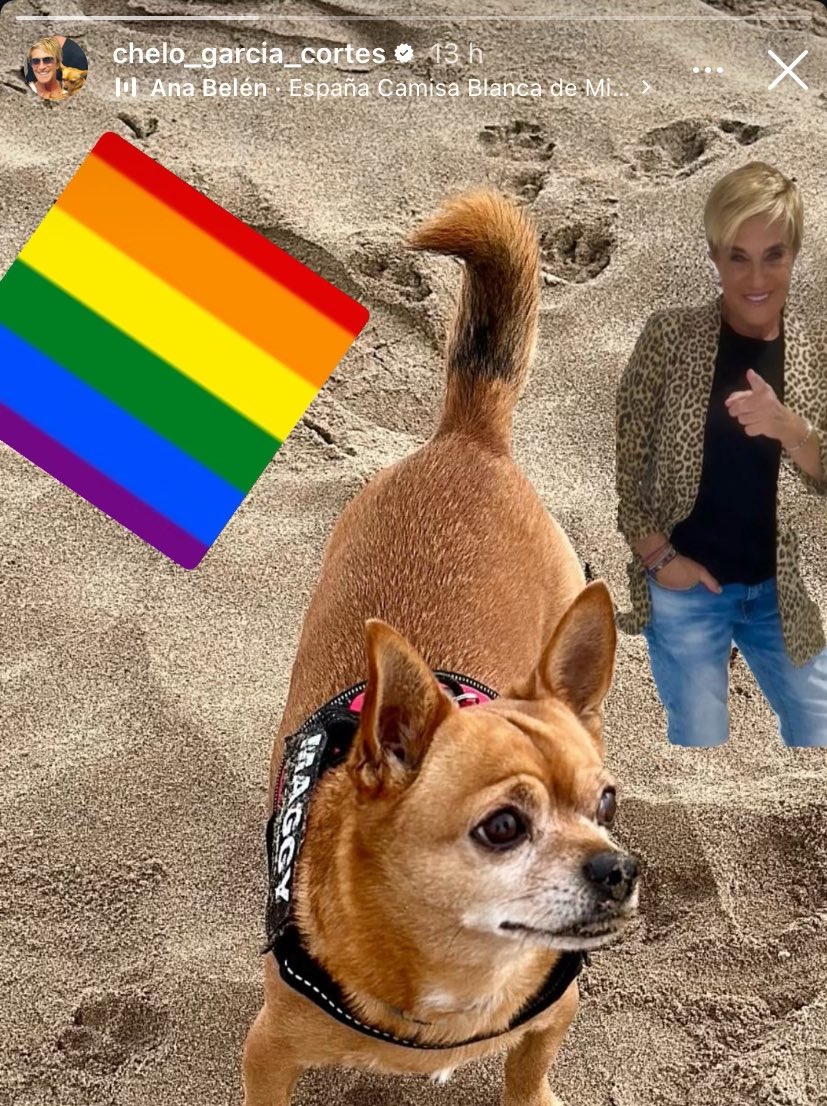 ALBERR☆ (@imth3rdbella) on Twitter photo 