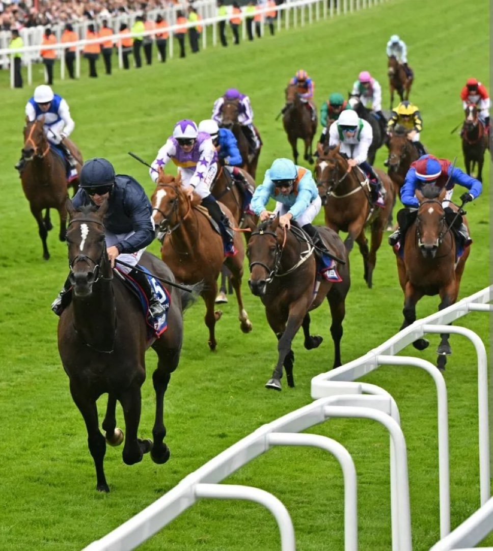 Target_Racing_'s tweet image. Lambourn wins but let’s face it everyone’s arse was in their mouths when he got headed in the last furlong 

Our selection Lazy Griff lives up to his lazy nature off the bridle turning in and stays on for 3rd. Get him up to 1m6f!

Confirms form with all the Derby field think he’s…