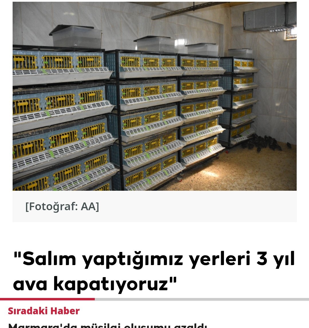 Deha tweet media
