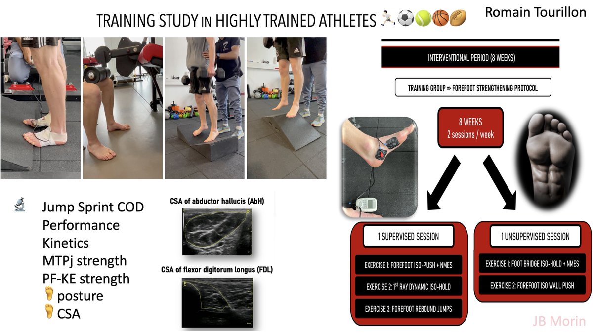 jb_morin's tweet image. 🚨NEW📄🚨
Foot strengthening protocol 🦶🏋️♀️ ⚡️= ⬆️foot MTP flexion strength, muscle volume and some sprint/jump/COD perf and mechanics ✅ in high-level athletes 🧐🧩
All exercises, RCT program and details, Open Access @PLOSONE 🎁
👏@r_tourillon &al:
journals.plos.org/plosone/articl…