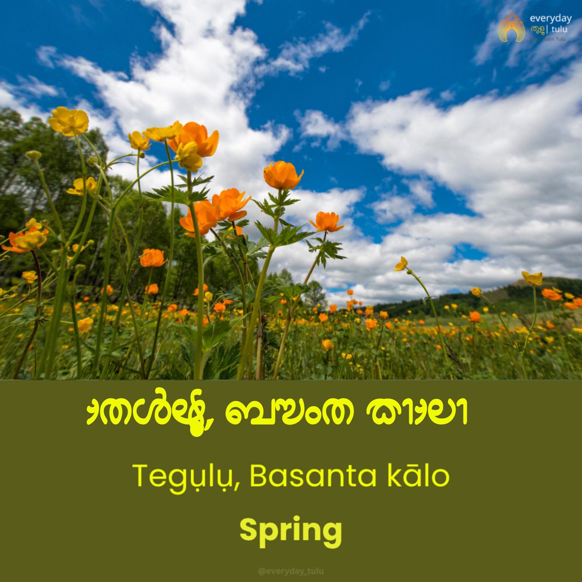 everyday_tulu's tweet image. 🌞🌧️ Tulunadu has 2 main seasons — Aregalo (Summer) &amp;amp; Mariyalo (Monsoon).
For awareness, more Tulu names:
🍂 Iretālu (Autumn)
🌸 Tegulu (Spring)
❄️ Kuḷuru (Winter)
🗣️ Proverb: “Āṭiḍdụ bokka aregāla, māyiḍdụ bokka mariyāla”
📚 For learning only. 
#Tulu #Tulunadu #TuluSeasons