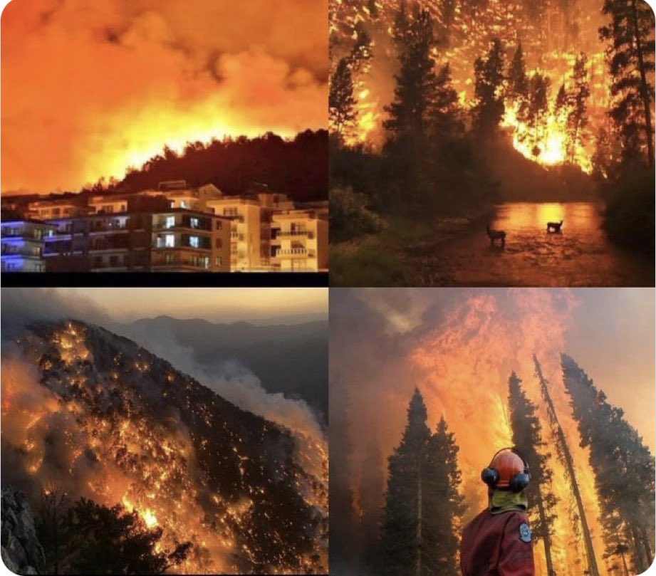Ufak bir kıvılcımın hızla büyük yangın felaketine dönüşme olasılığının çok yüksek olduğu ekstrem iklimlerde (yüksek sıcaklık +düşük nem +şiddetli rüzgar) kıvılcımın çıkmamasının önlemlerini alabilmek için tüm kamu gücünü seferber edebilecek yeni sistemler kaçınılmaz olmuştur.