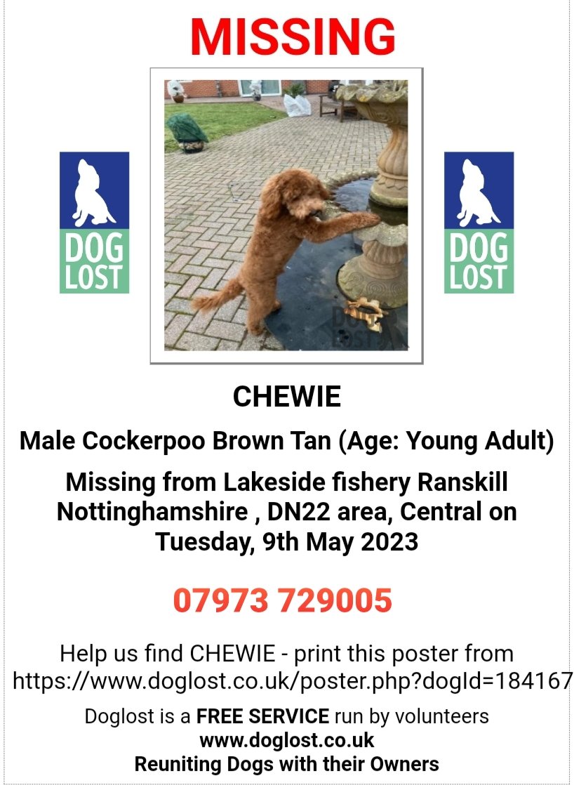 MissingPetsGB tweet picture