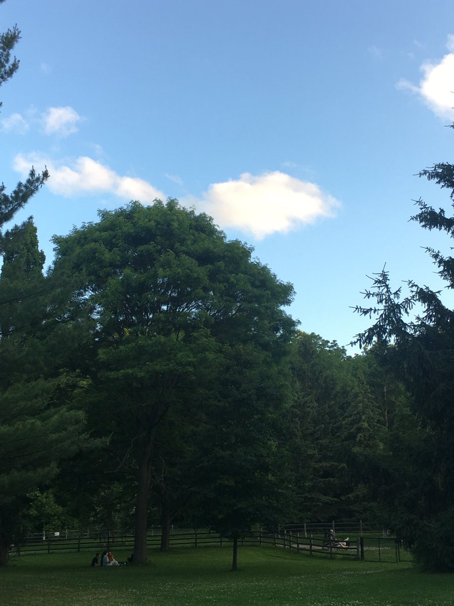 𖦹 ⋆ tweet media