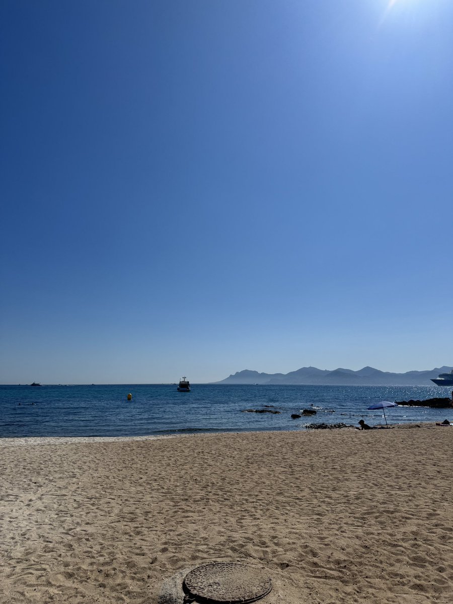 this, and the bull market ✨