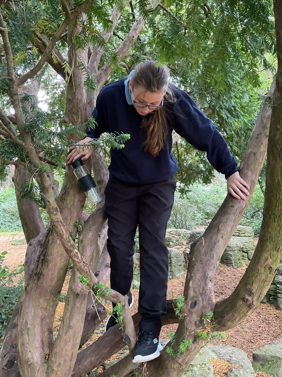 MrsGarfin@StJohnVianneysc (@garfinmrs) on Twitter photo Class 5 enjoyed some social time in the park with Father Nick <a href="/StJohnVianneySc/">St John Vianney School</a> we couldn’t go cycling as the tracks were in use so we decided to practice our ordering skills & sticking to a budget. We had a great time 🌞 Class 5 enjoyed some social time in the park with Father Nick <a href="/StJohnVianneySc/">St John Vianney School</a> we couldn’t go cycling as the tracks were in use so we decided to practice our ordering skills & sticking to a budget. We had a great time 🌞