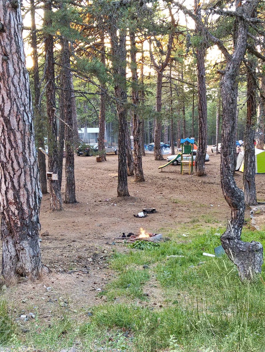 Ormana giriş yasağı var ama ormanda mangala yasak yok. Ülkem yanıyor ya, batsın mangal sevdanız. Kontrollü bir alan dahi olsa  rüzgarlı havalarda yangına davetiyedir bu. #mangalyasaklansın #yangın <a href="/TCTarim/">T.C. Tarım ve Orman Bakanlığı</a> <a href="/milliparklar/">Milli Parklar</a> <a href="/TC_icisleri/">T.C. İçişleri Bakanlığı</a>