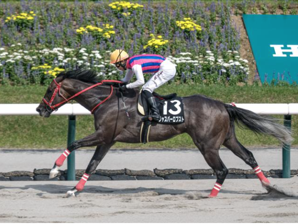 FTBOA (@florida_horse) on Twitter photo #FloridaBred Jasper Robusto Wins Tsurugajo Stakes at Fukushima <a href="/RivermontFarm/">Ashley Godwin @ Rivermont Farm</a> bit.ly/4l5MuIz #FloridaBred Jasper Robusto Wins Tsurugajo Stakes at Fukushima <a href="/RivermontFarm/">Ashley Godwin @ Rivermont Farm</a> bit.ly/4l5MuIz