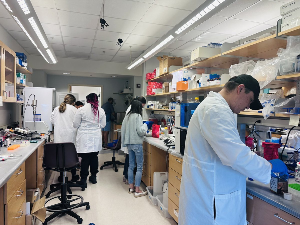 UF_HE_LAB's tweet image. To maintain robust scientific measurements, a combination of accuracy, precision, and adherence to rigorous protocols is essential. Our lab conducted a lab skill training and cleaning week💪👩🏻‍🔬👨‍🔬 🧪 🧫