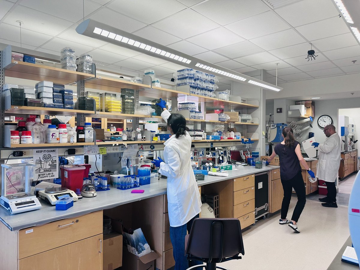 UF_HE_LAB's tweet image. To maintain robust scientific measurements, a combination of accuracy, precision, and adherence to rigorous protocols is essential. Our lab conducted a lab skill training and cleaning week💪👩🏻‍🔬👨‍🔬 🧪 🧫