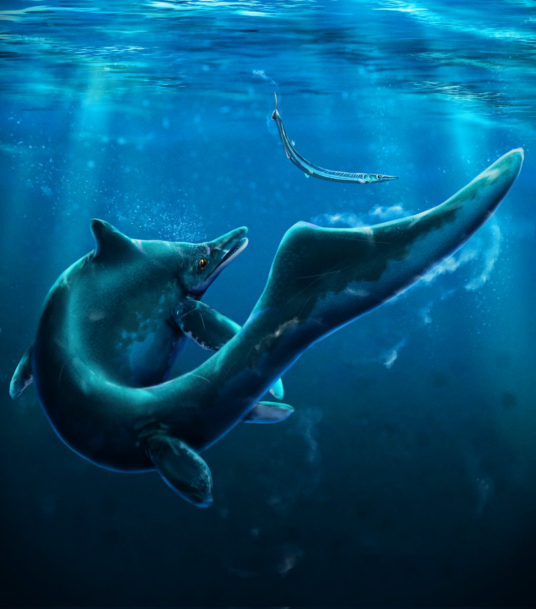 Ekhyl - Wildlife/Paleo Illustration tweet media