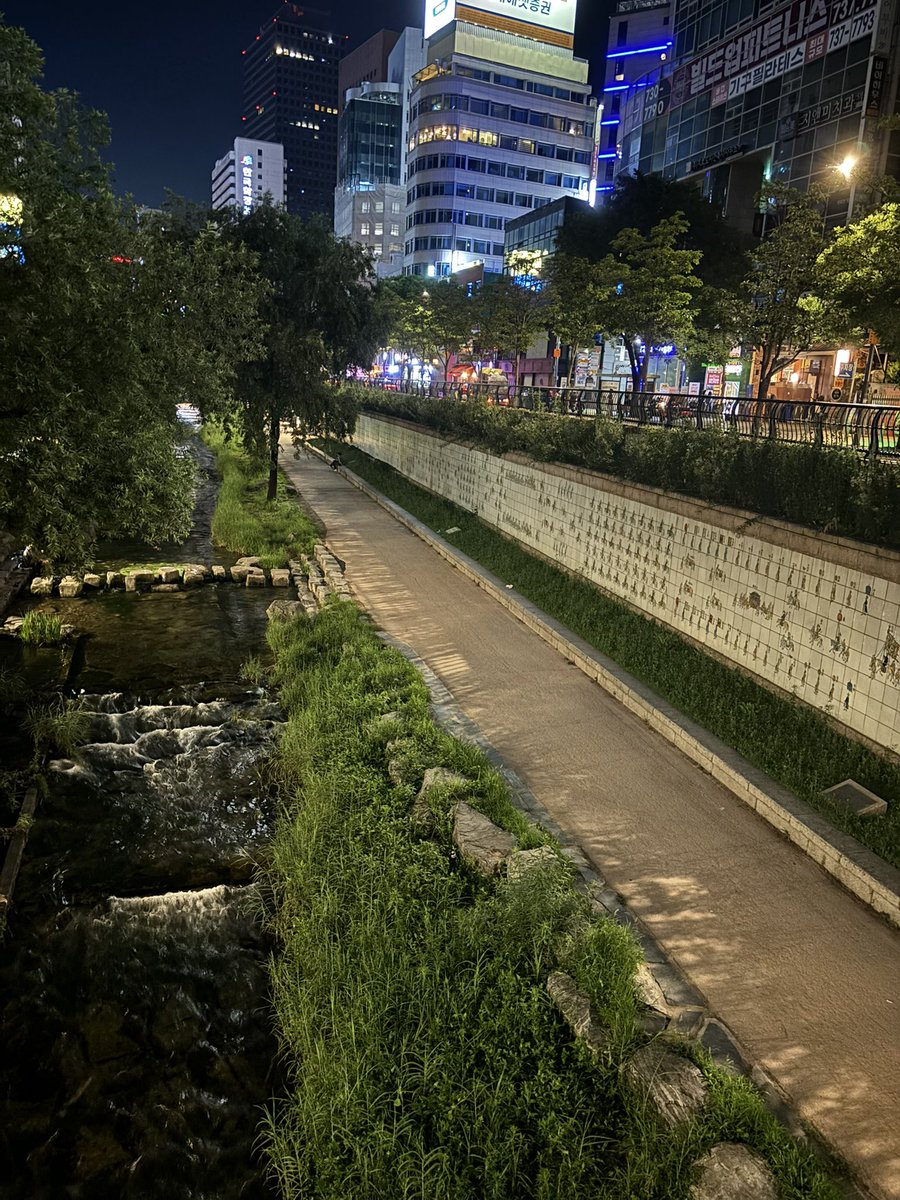 Korea night