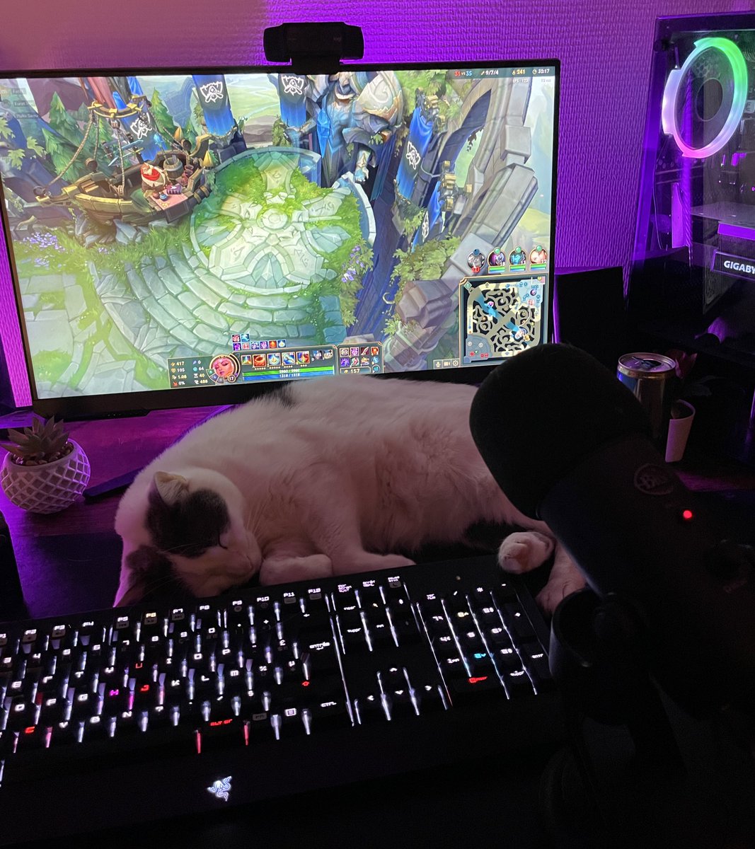 Snoop Fan Account 🍂 tweet media