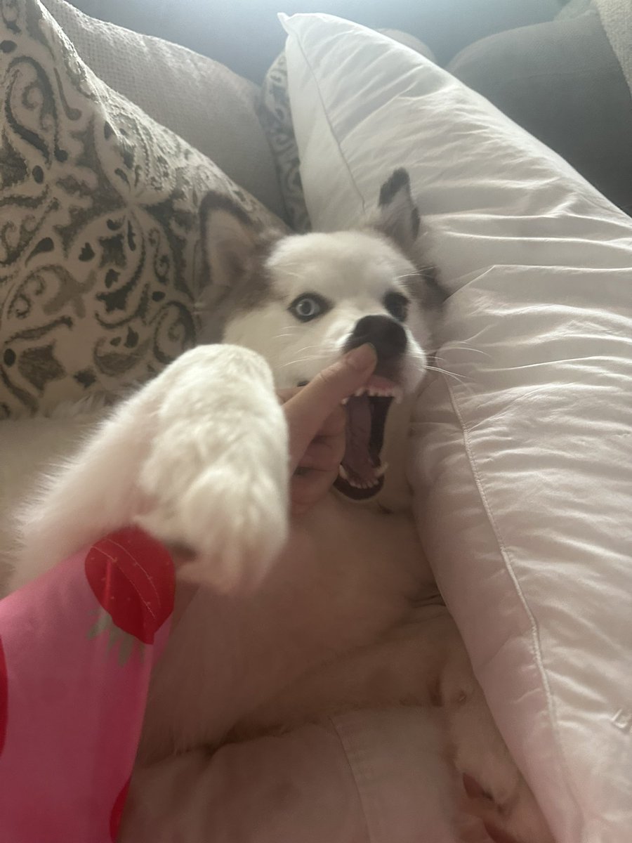 Kelly (@nilkski_) on Twitter photo 