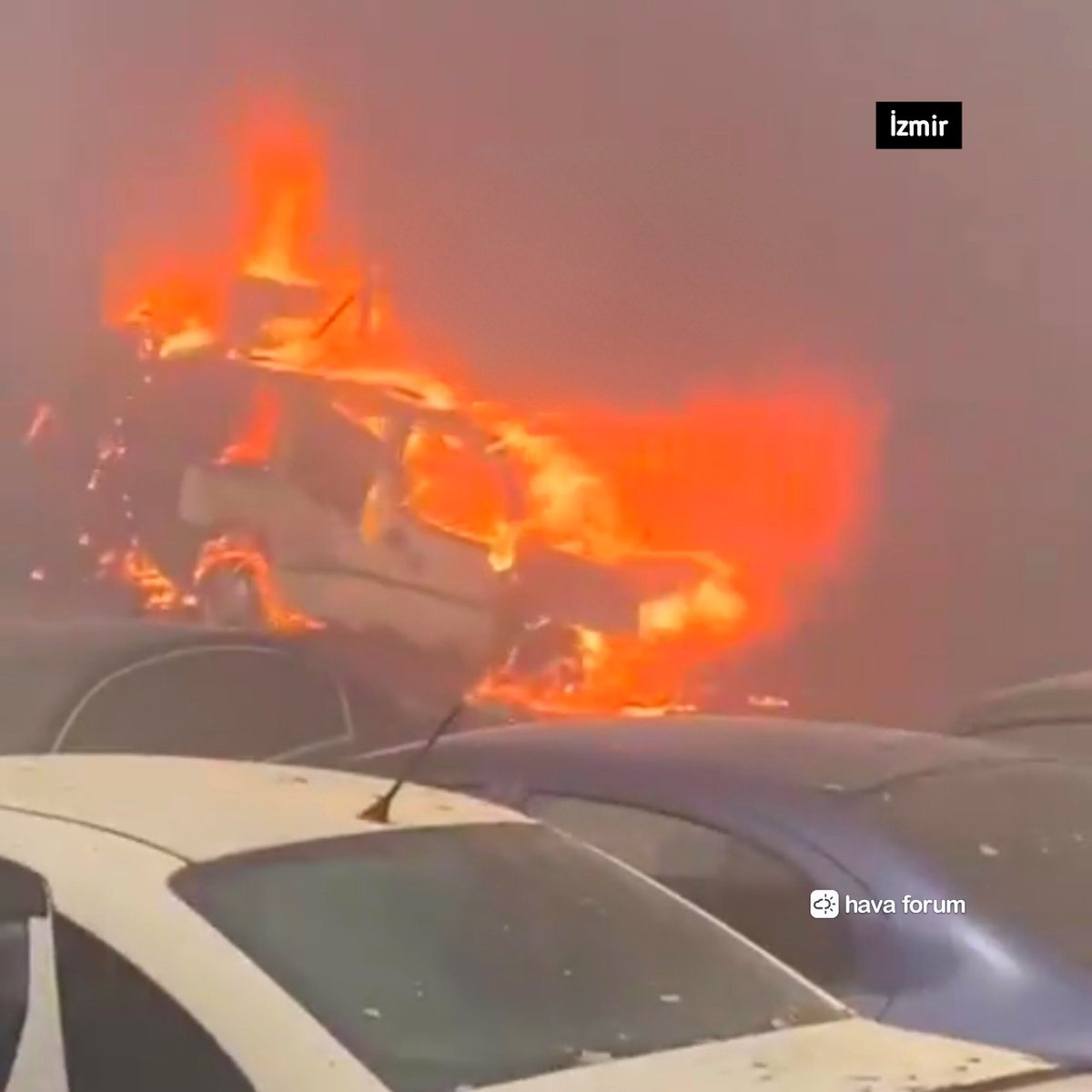 Son Dakika | İzmir'de farklı noktalardan bir anda yangınlar çıktı ve hızla yayılıyor. Durum vahim. Arabalar yanmaya başladı. Poyraz kuvvetli esiyor. Acil tedbir, destek lazım...  #izmir #yangın