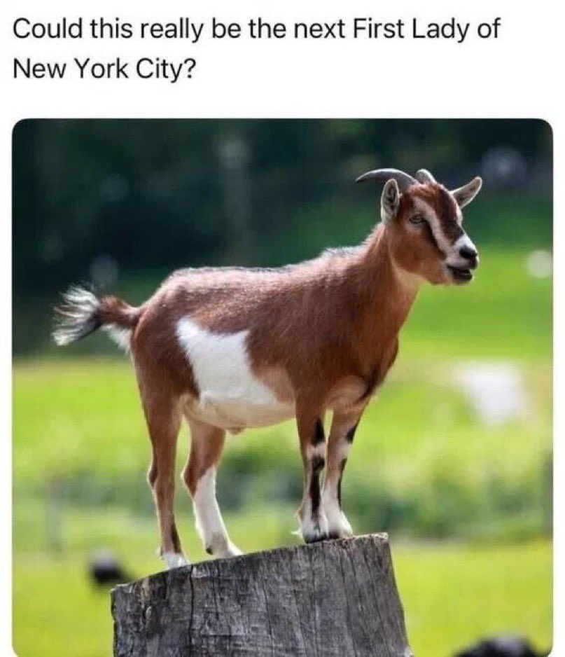 New York City never ceases to amaze, that is for sure.