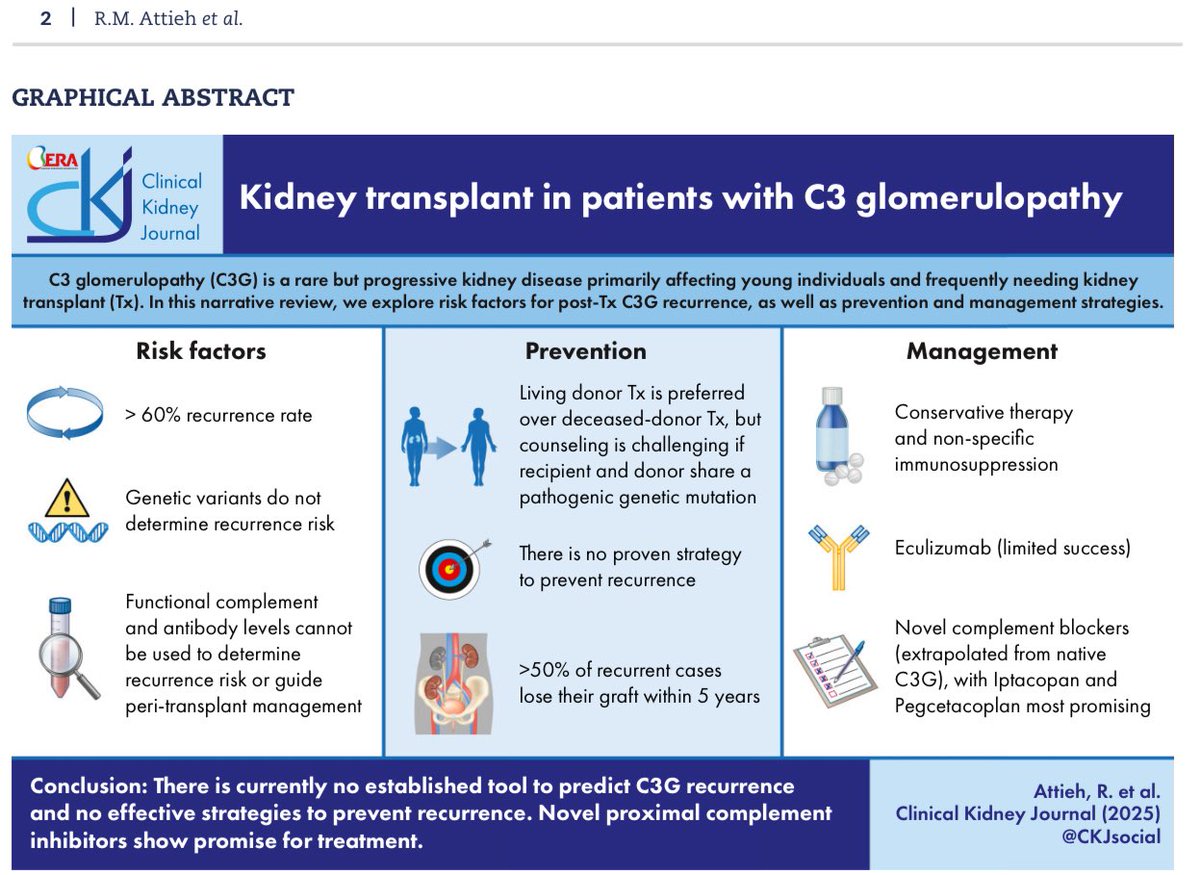 🫘C3G post-kidney transplant =🚨 60%-90% recurrence😳

🆕#CKJ review dives into risk, prevention &amp; 🔬novel complement inhibitors

📖doi.org/10.1093/ckj/sf… 🆓

👇Must-see algorithm + mechanisms + quick summary!

#NephTwitter #C3G #KidneyTransplant #MedEd #CKD #Glomerulonephritis