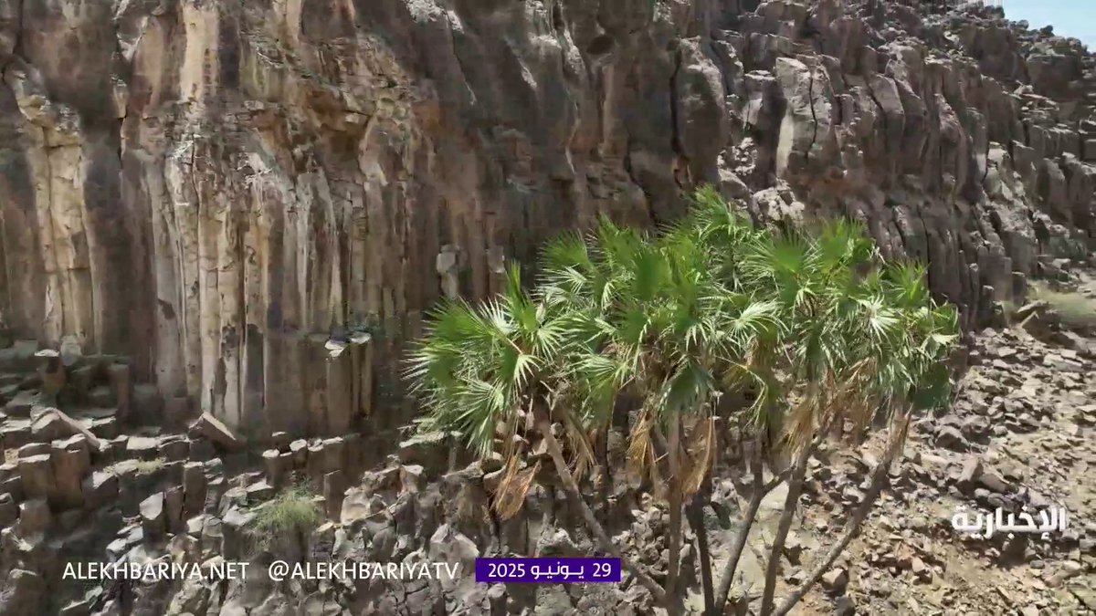 حرة البرك.. أقدم براكين المملكة وأكبر الحرات الساحلية بأكثر من 200 فوهة على مساحة 2000 كم² التاسعة | #الإخبارية 