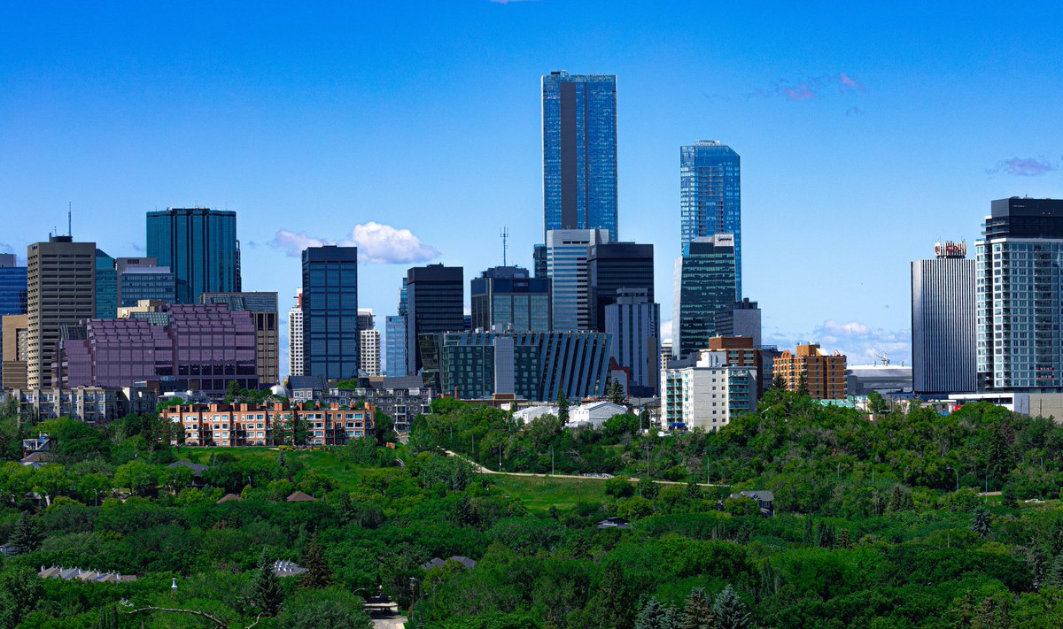 JC Collins tweet media