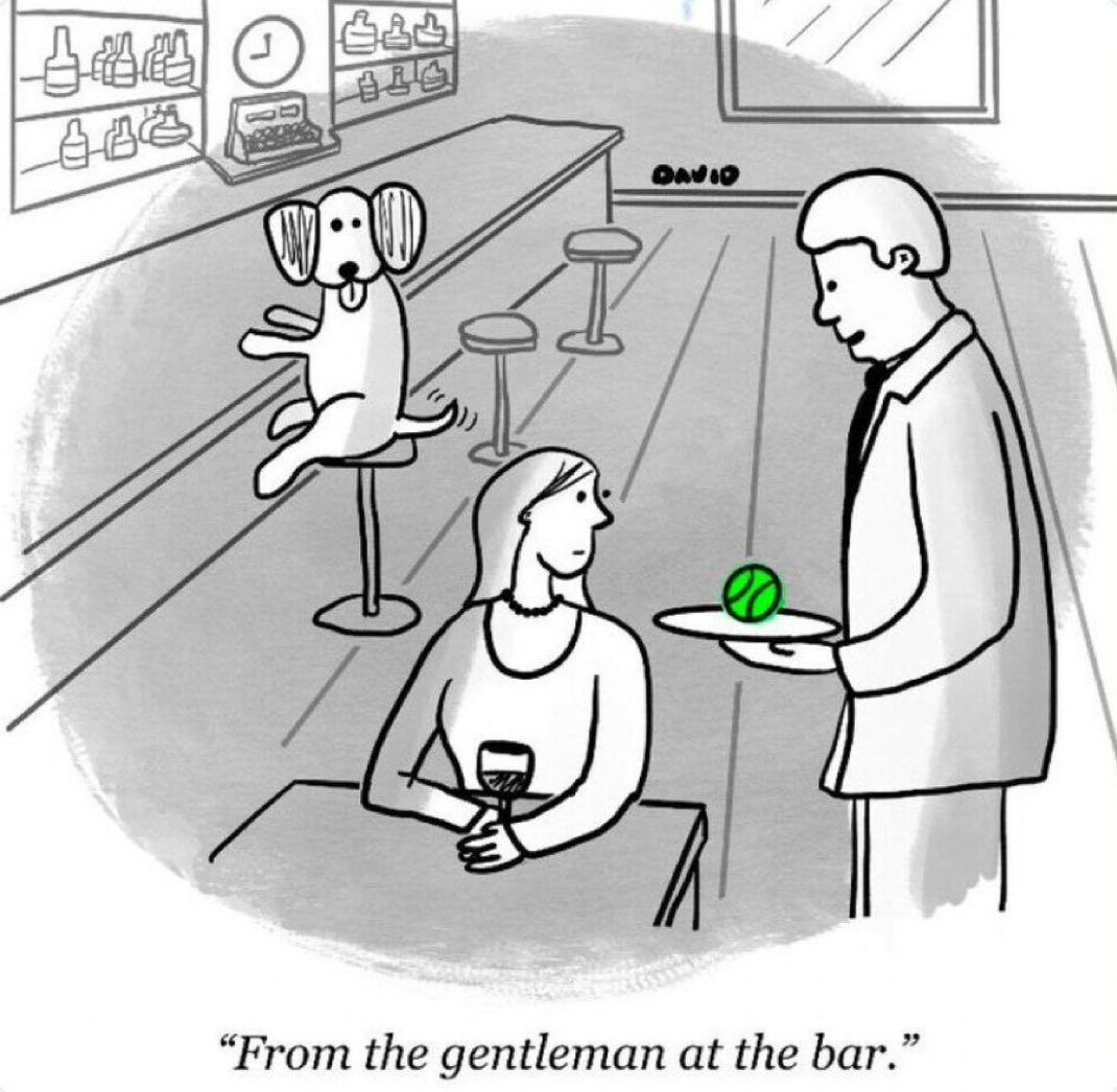 Walter Masterson (@waltermasterson) on Twitter photo 