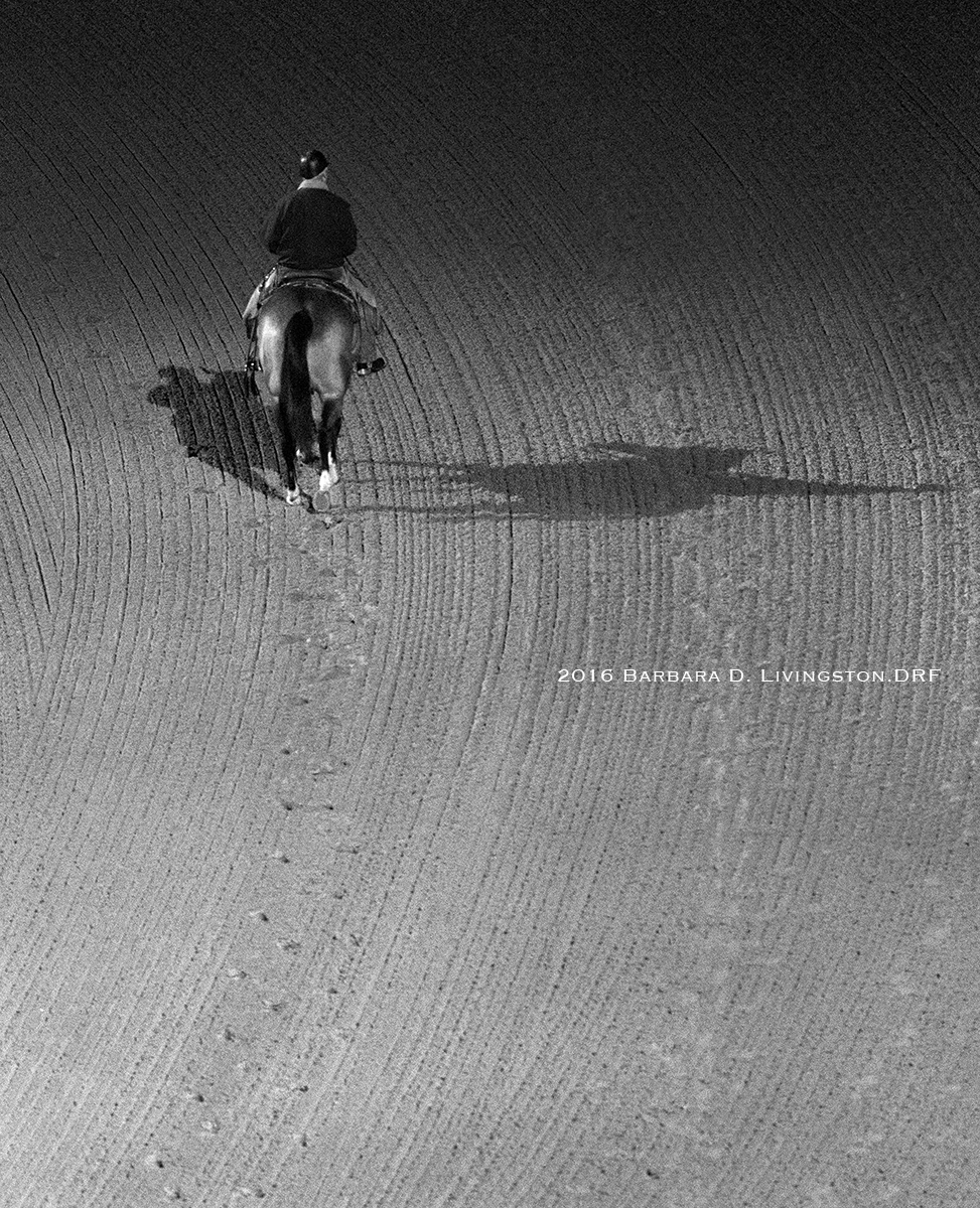 An excellent Jay Privman article about the legendary D. Wayne Lukas 

drf.com/news/lukas-mor…