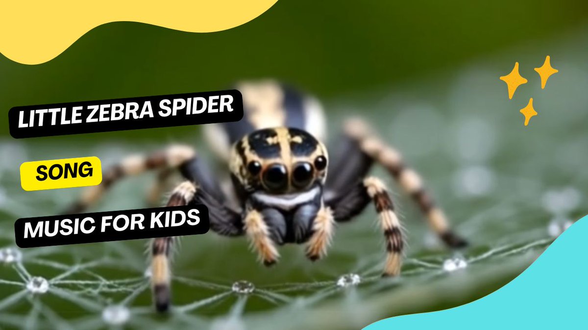 tramp963's tweet image. 🎵 Jump and jive with the Little Zebra Spider Song! Perfect for curious minds and playful hearts, this tune will make learning about nature fun and exciting. Sing along and explore the world of our striped, eight-legged friends! 🕷️🎶 #KidsMusic #NatureFun
shorturl.at/WU2q6