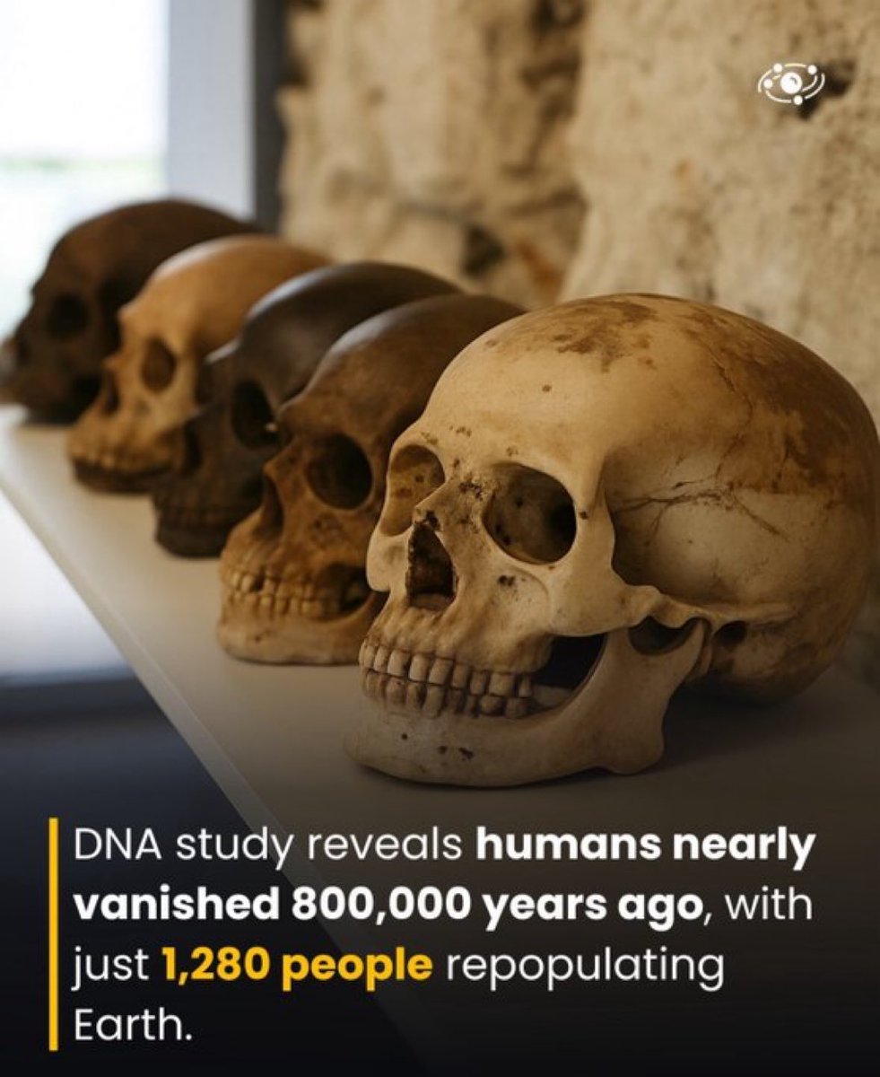 We’re so lucky one of these 1280 people was your mum.