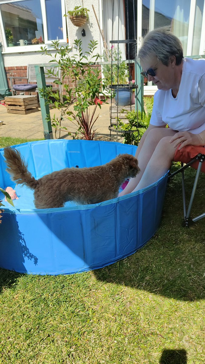 Keeping cool in the shade, and in the paddling pool..❤️🌊🐶