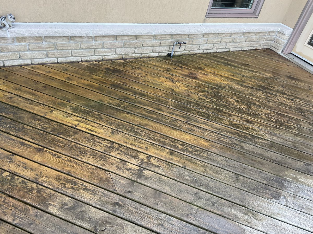 RobotPete of Selwyn! tweet media