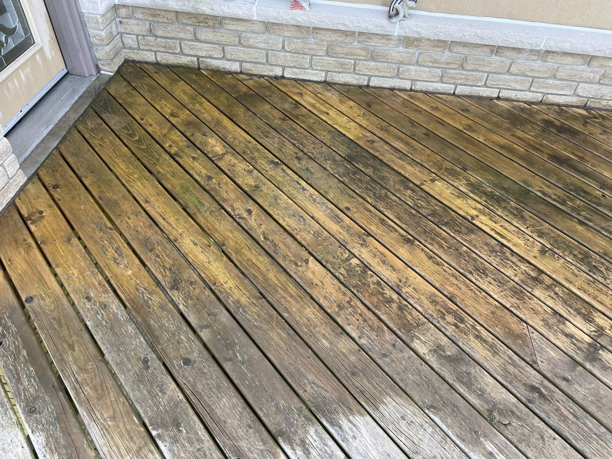 RobotPete of Selwyn! tweet media