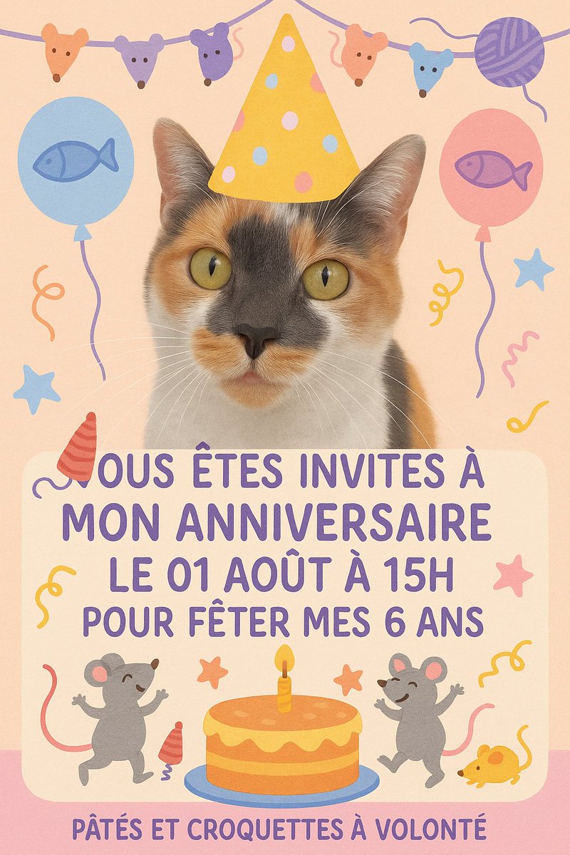 chaussette à une annonce à faire 😽