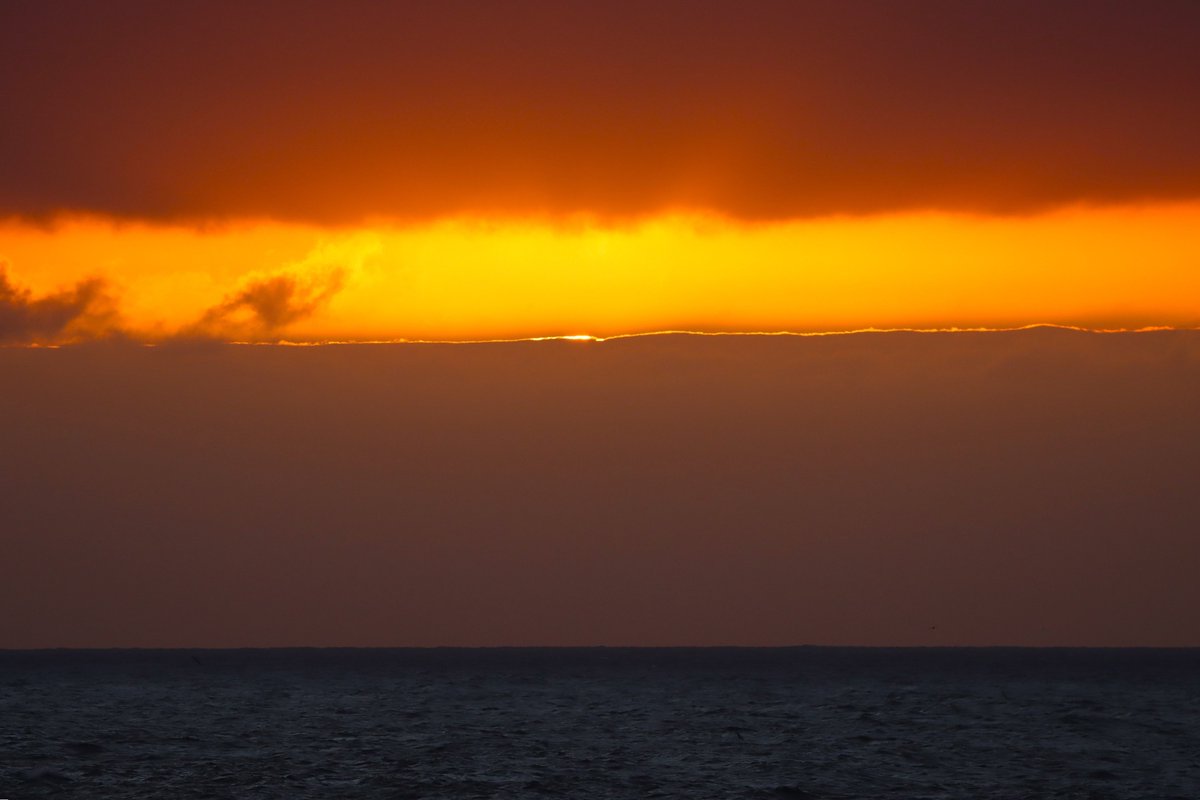 RitoPerezGarcia's tweet image. Volar la tarde inmensa. Acaricias la tarde, con la exquisitez de una filigrana abres tus alas, tus curvas desacostumbradas vuelan libres. Tú, luz y sombras, plenitud que escapa en extraña travesía sin pedir permiso…

Buenavista del Norte, TF…