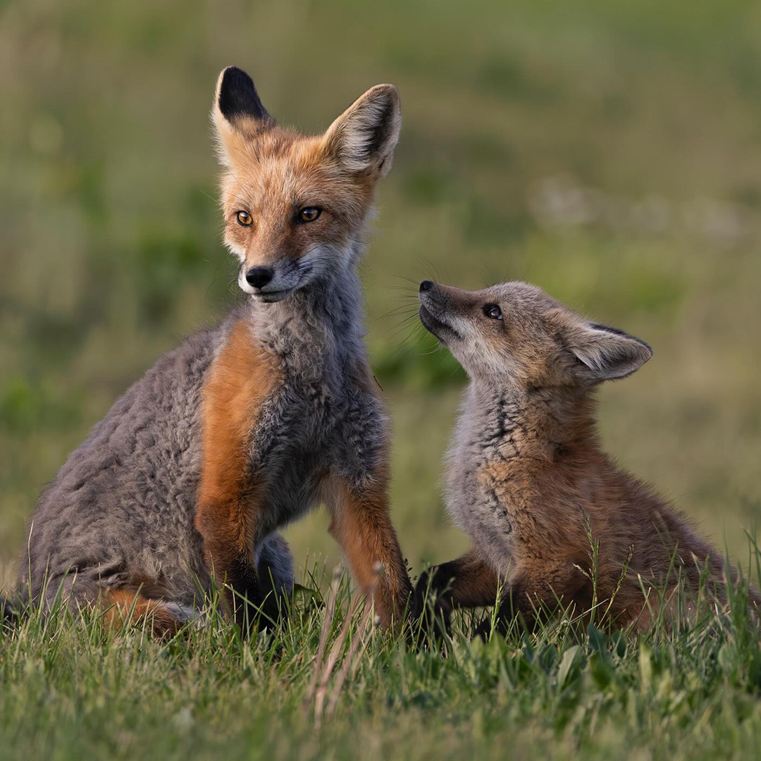 New beginnings. 
📷 | <a href="/dj/">Dorothy Jean Chang</a>.coveno