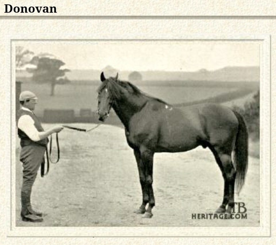 Andybeag's tweet image. This season is the 135th anniversary of @Official_NCFC changing their club colours to Black &amp;amp; White. The club president, the 6th Duke of Portland William Cavendish-Bentick, used his racing colours from the @WelbeckEstate stable in 1890. Donavan a champion, raced in black &amp;amp; white
