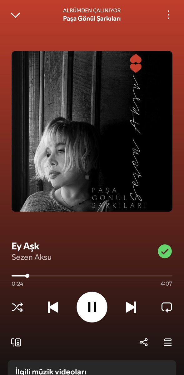 ensdrm_'s tweet photo. Albümün en iyi şarkıları #sezenaksu https://t.co/FzRcEMr58E