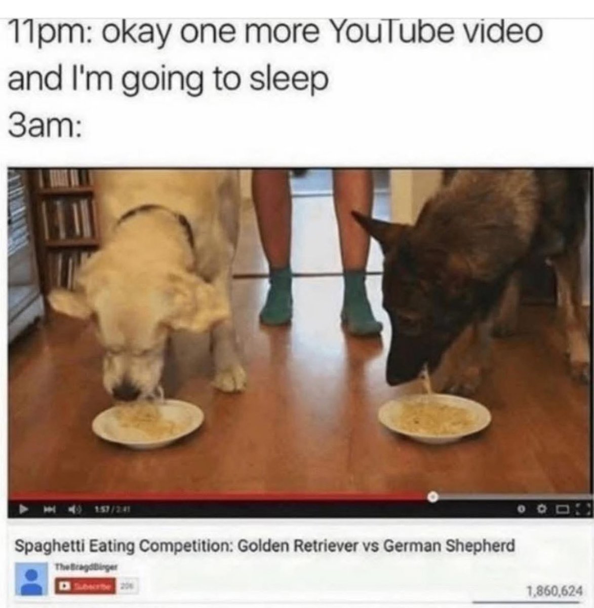 Respectful Memes tweet media