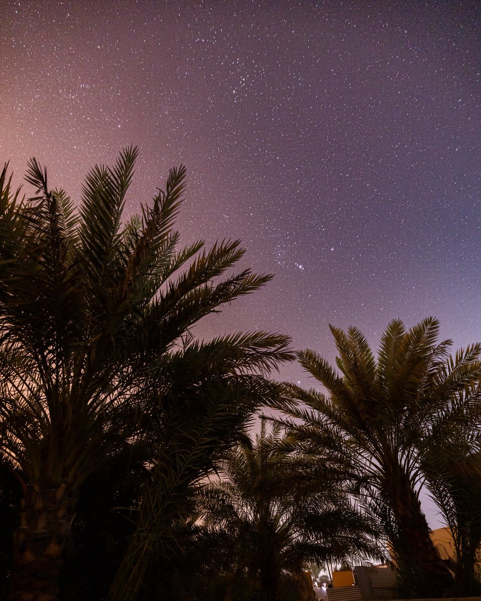 #صلاة_الضحى

حتى يطيبَ نهارك ويطرحُ الله البركة في يومك
خُــــذ من ركعتــي الضُحــى ما يؤنسُ قلبك