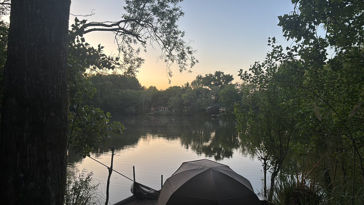 Last night please carp gods shine on me