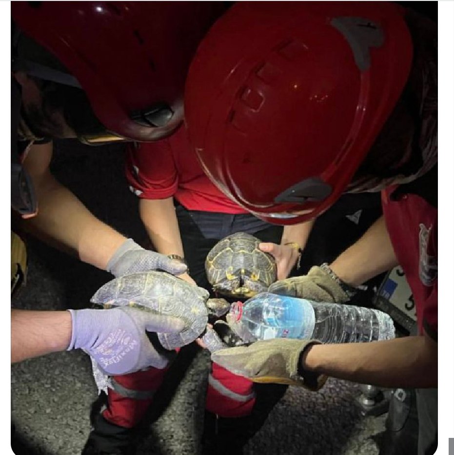 İzmir yanıyor canlar Yok oluyor 
Ciğerimiz yanıyor 
#izmiryanıyor