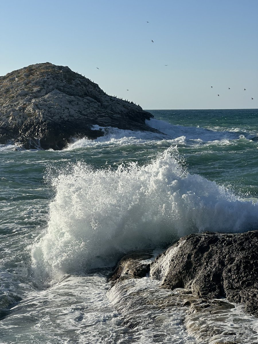 Bugünün en iyi wallpaperı benden