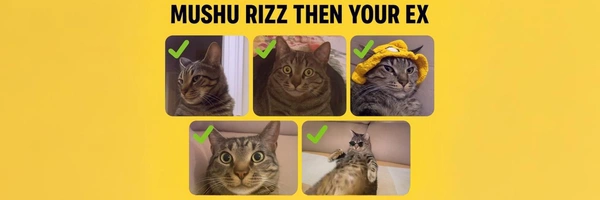 Andrew0xSOL's tweet image. 💊 DEX paid for $MUSHU on PumpFun 💊
Name: Rizz Than Your Ex
MCap: $15.4k
Paid: 2 min, 29 s ago
Created: 44 min, 44 s ago

🔗 CA: 8qc1oiEnqAqCPAF8y4c2cgvHTGiXVfrWLwqUW34Cpump

#MUSHU #DexPaid #PumpFun #SOL