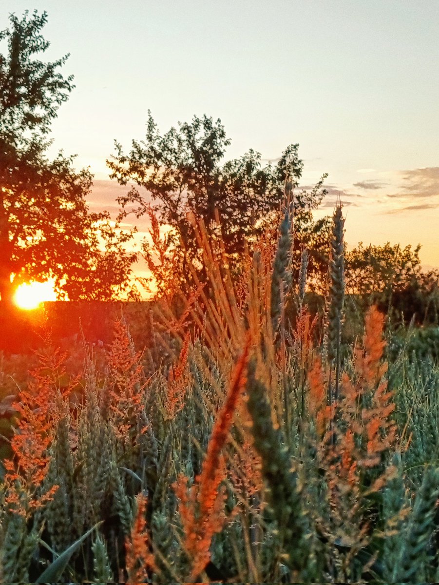 На розкрут собі і вам