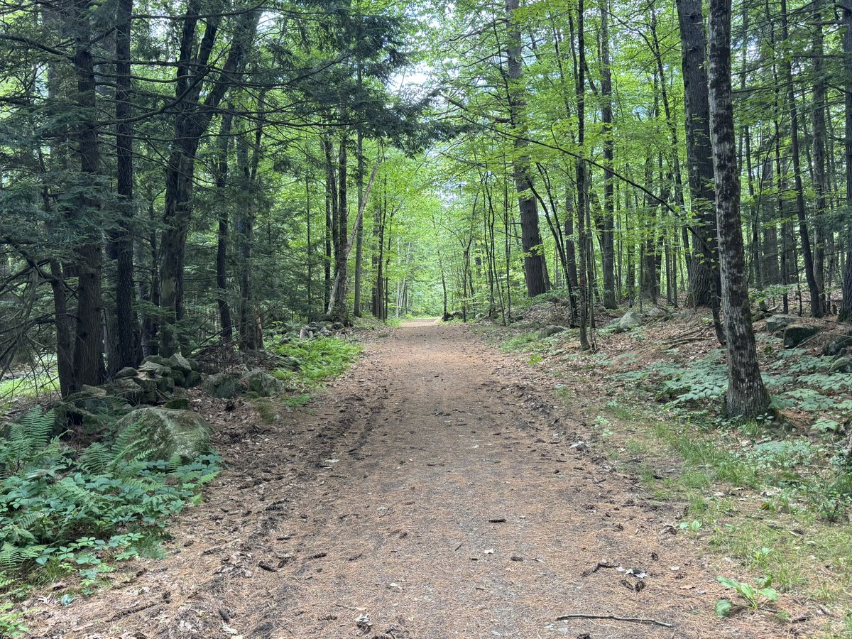 OlgaSayz's tweet image. Took a gorgeous hike today in @FreeStateNH. One of the amazing characteristics of NH is that regardless of where in the state you live, you can find a new trail to explore almost every day!