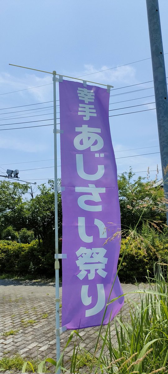 montaryota's tweet photo. おはようございます！🐸

6月末　あじさい祭り　最終日

今年前半が終わっちゃう〜🐸💦
#川柳　#朝活　#朝散歩　#昨日　#あじさい　#紫陽花 https://t.co/rxWgBAPd86