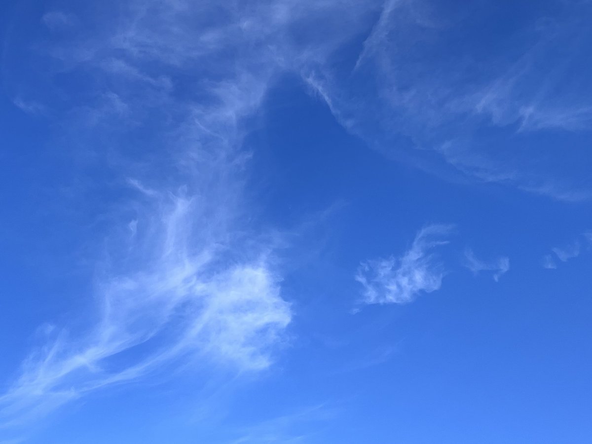 Sky full of cloud birds